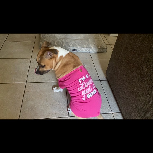 Daisy🌼 - Picture 2 of 4